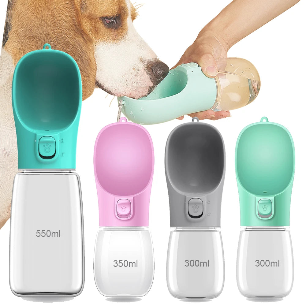Hydration Companion for Pets Green