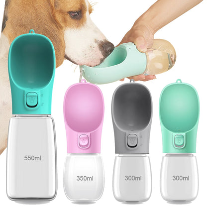 Hydration Companion for Pets Green