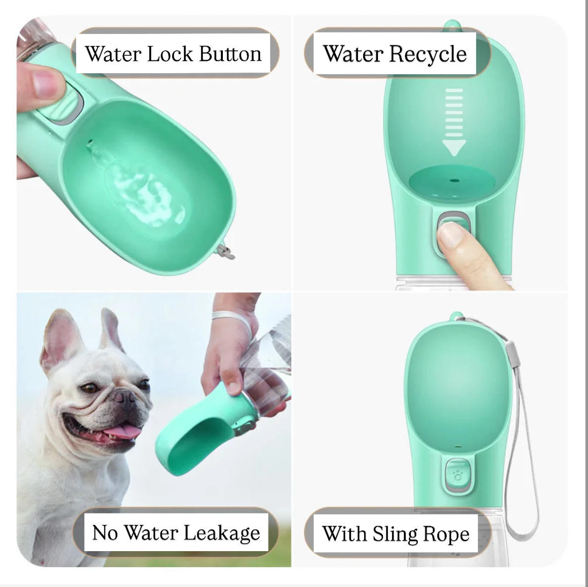 Hydration Companion for Pets White