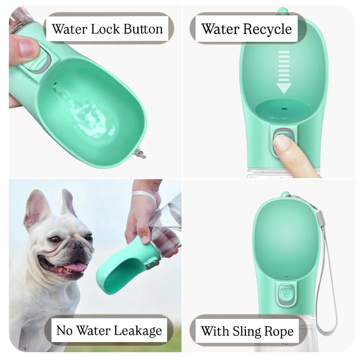 Why Choose Our Bottle?